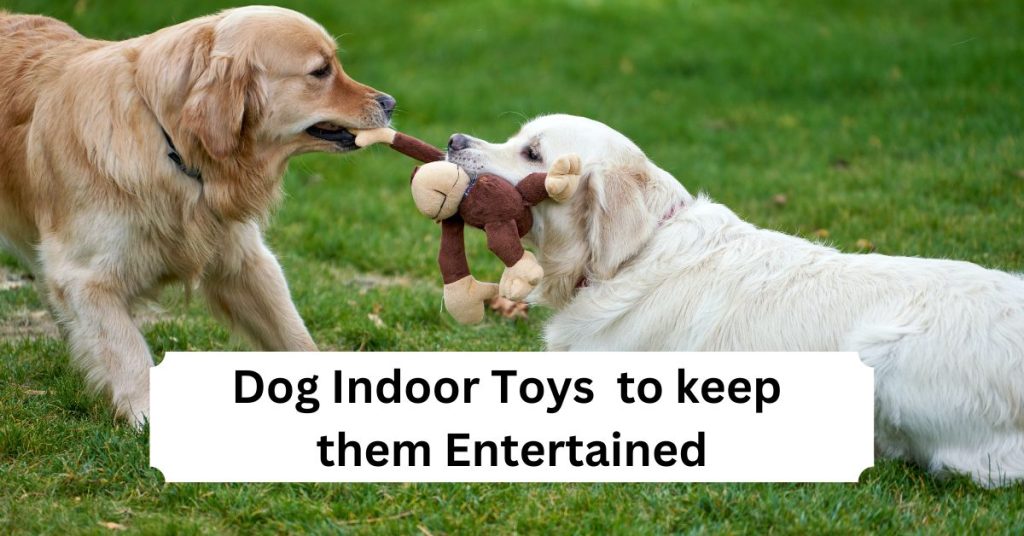 Dog Indoor Toys to keep them Entertained