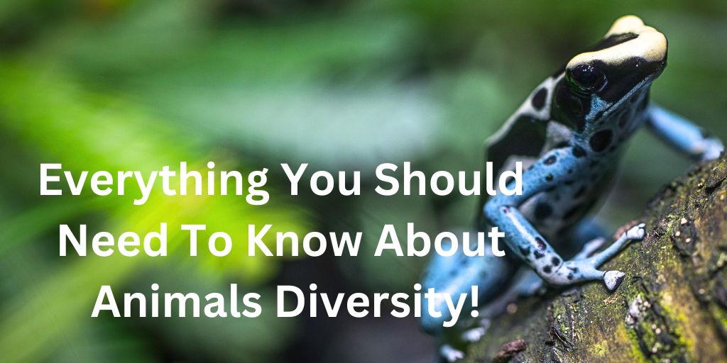 Every Thing You Should Need To Know About Animals Diversity